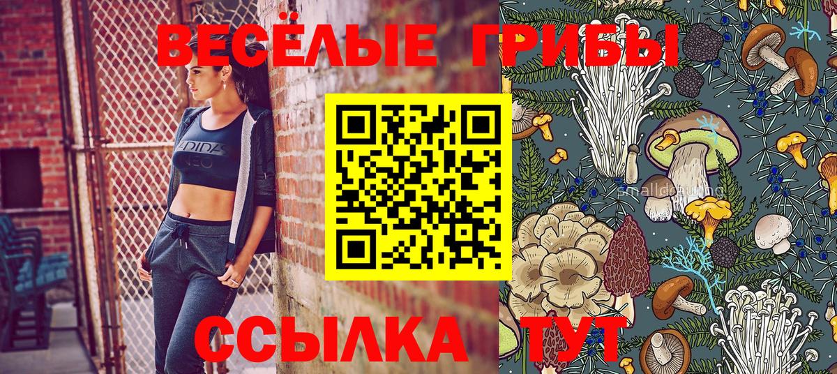 Галлюциногенные грибы GOLDEN TEACHER  Вход с VPN  Камень-на-Оби 